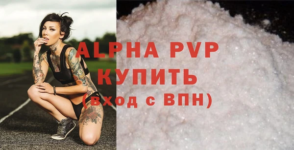 спиды Каменск-Шахтинский