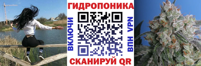 Бошки марихуана Bruce Banner  Купить закладки  Старая Русса 